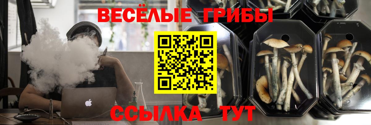 Галлюциногенные грибы прущие грибы  Вход с VPN  Галлюциногенные грибы GOLDEN TEACHER  Донецк 
